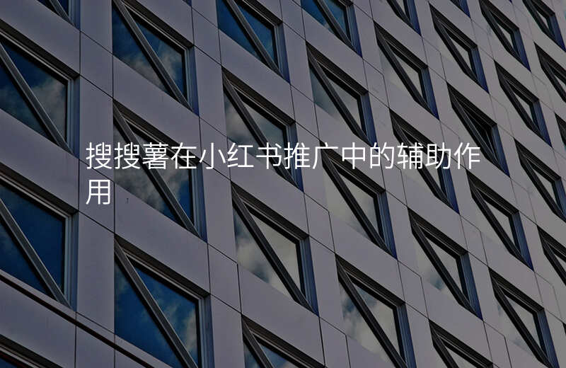 搜搜薯在小红书推广中的辅助作用