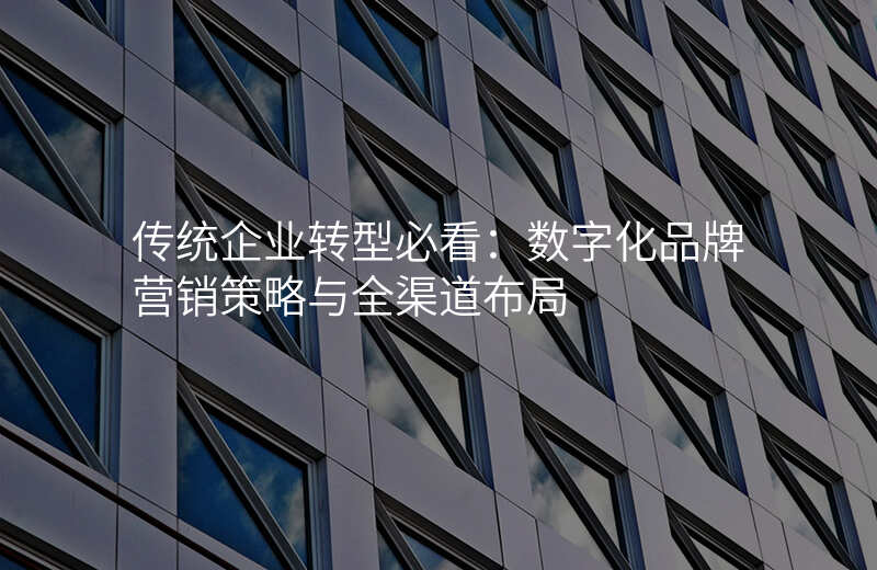 传统企业转型必看:数字化品牌营销策略与全渠道布局
