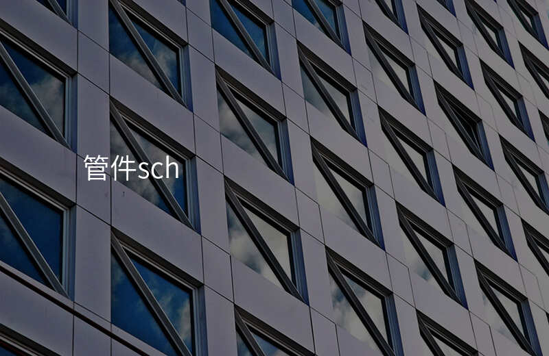 管件sch