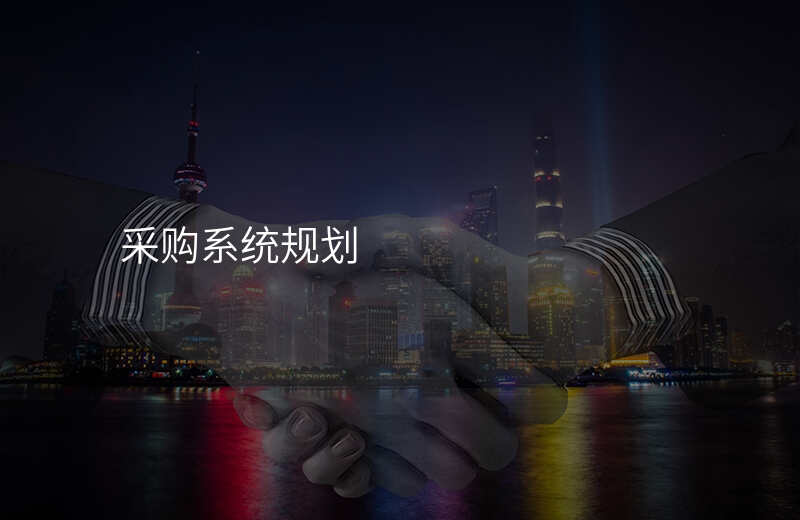 采购系统规划