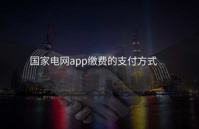 国家电网app缴费的支付方式
