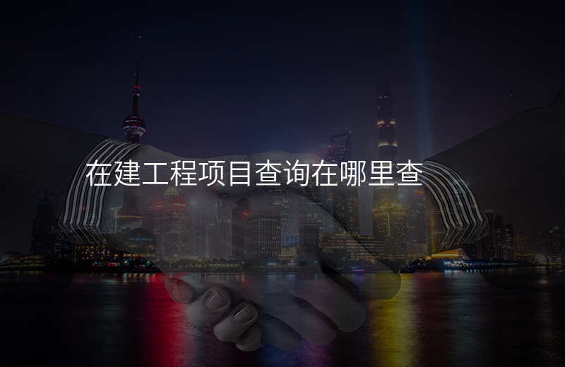 在建工程项目查询在哪里查