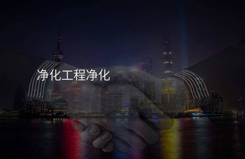 净化工程净化