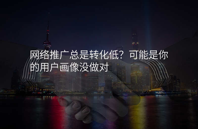 网络推广总是转化低?可能是你的用户画像没做对