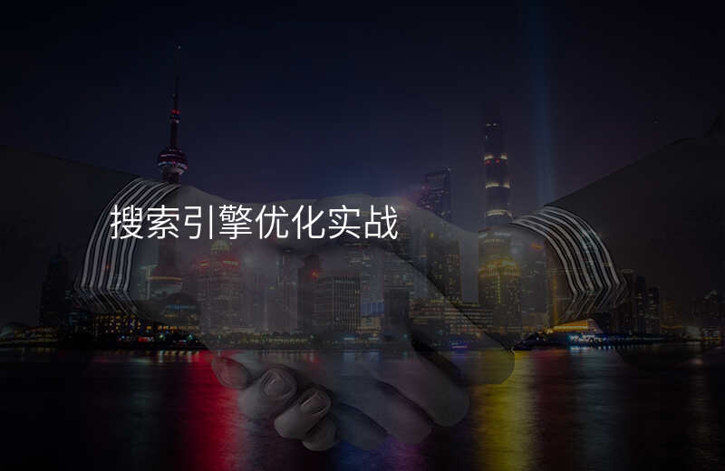 搜索引擎优化实战