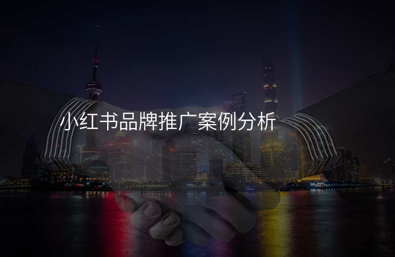 小红书品牌推广案例分析