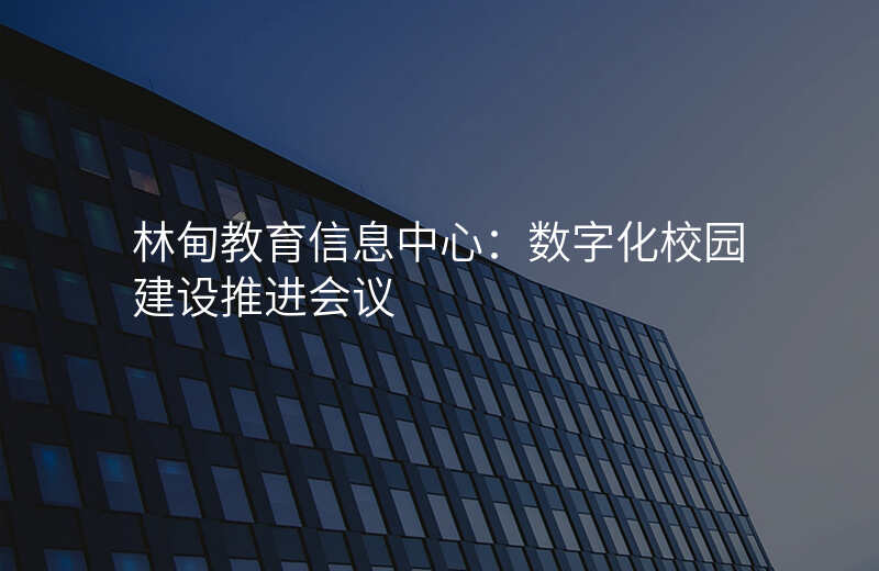 林甸教育信息中心:数字化校园建设推进会议