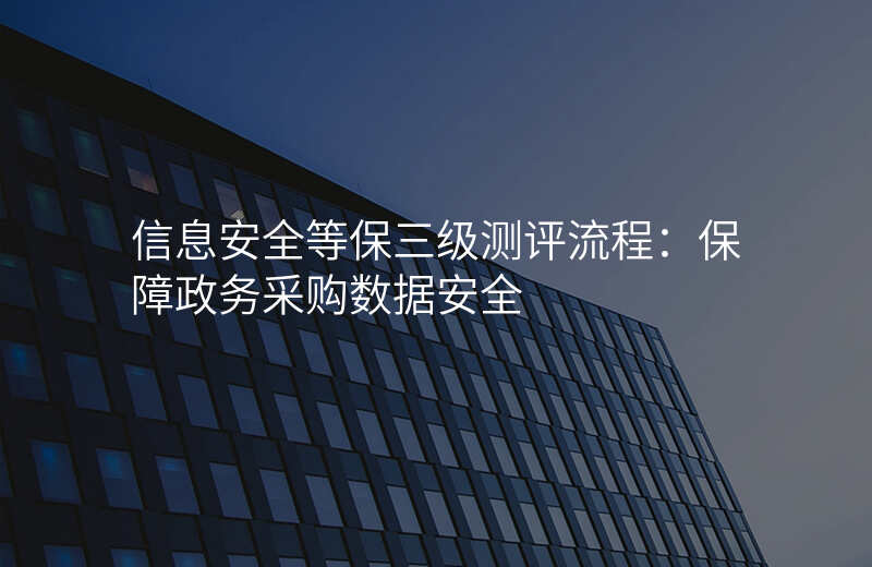 信息安全等保三级测评流程:保障政务采购数据安全