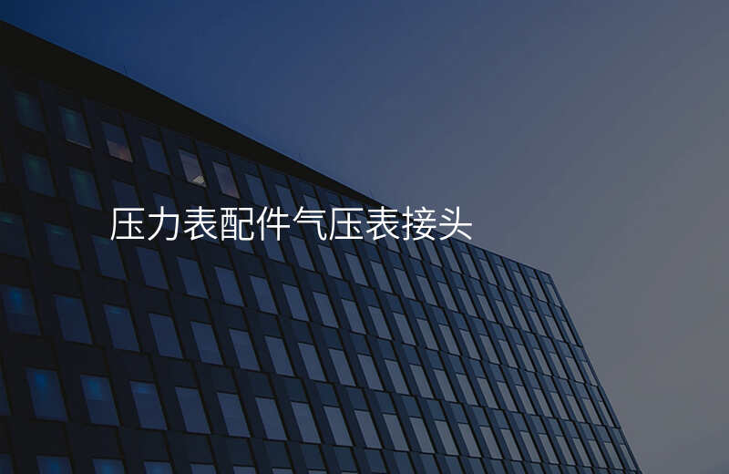 压力表配件气压表接头