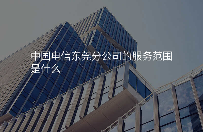 中国电信东莞分公司的服务范围是什么