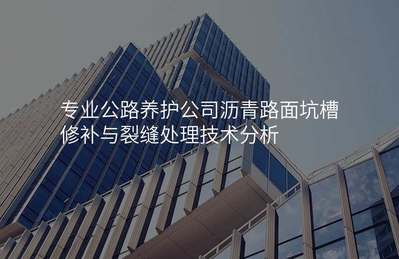 专业公路养护公司沥青路面坑槽修补与裂缝处理技术分析