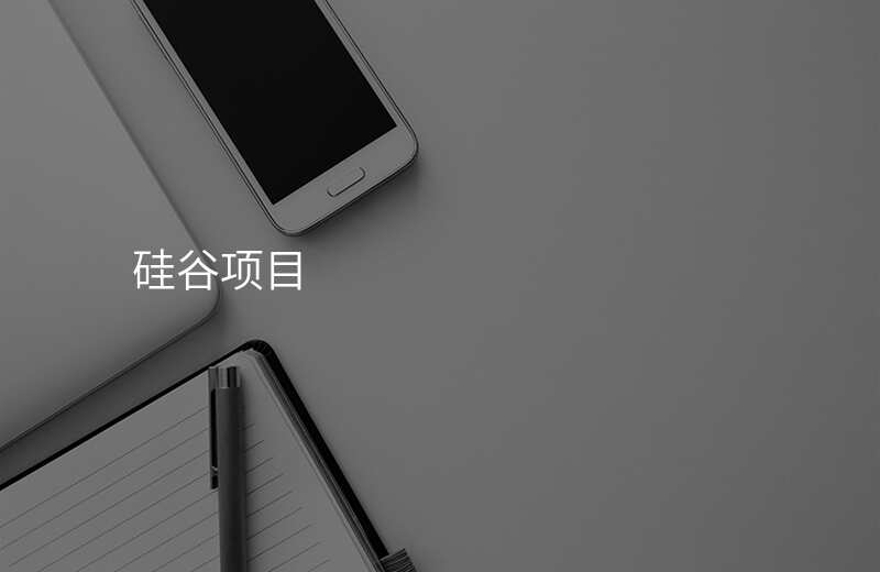 硅谷项目