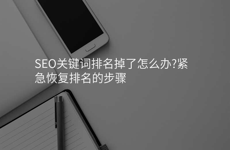 SEO关键词排名掉了怎么办?紧急恢复排名的步骤