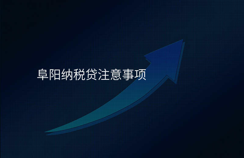 阜阳纳税贷注意事项