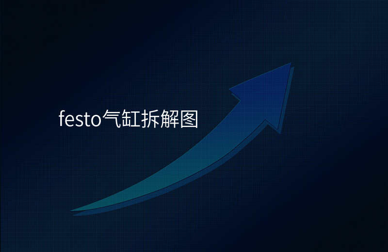festo气缸拆解图