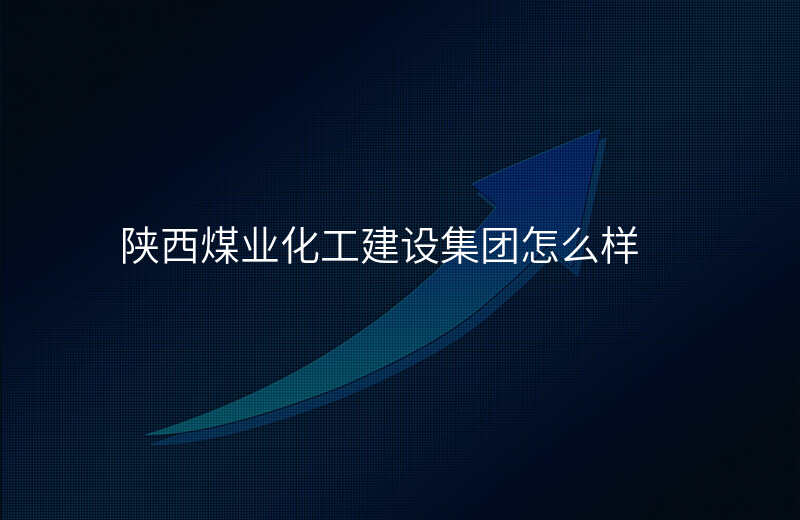 陕西煤业化工建设集团怎么样