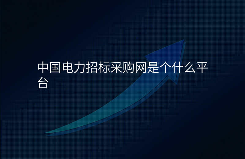 中国电力招标采购网是个什么平台