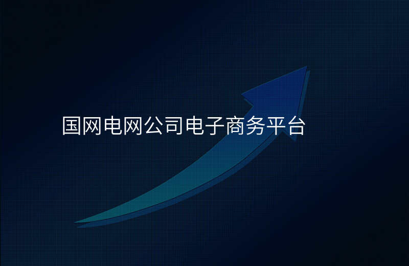 国网电网公司电子商务平台