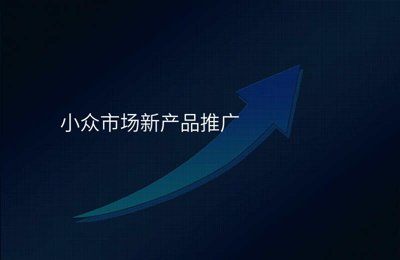 小众市场新产品推广