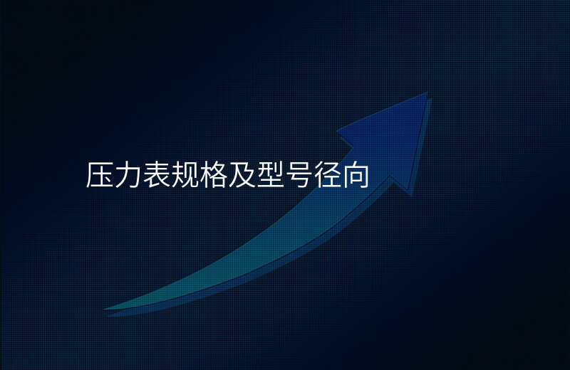 压力表规格及型号径向