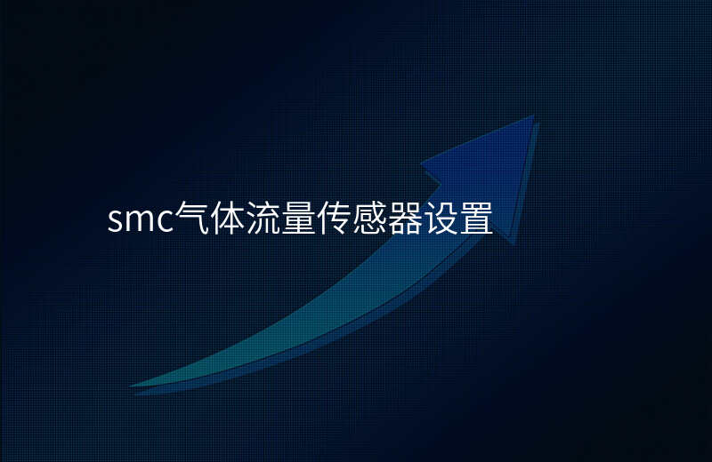 smc气体流量传感器设置