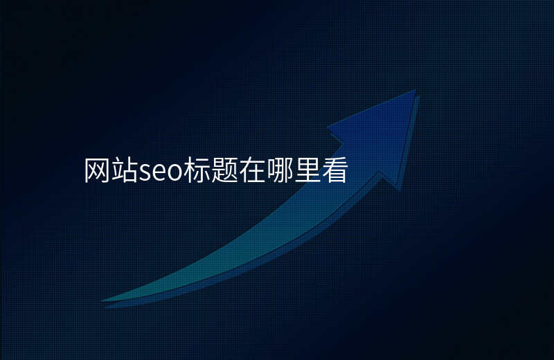 网站seo标题在哪里看