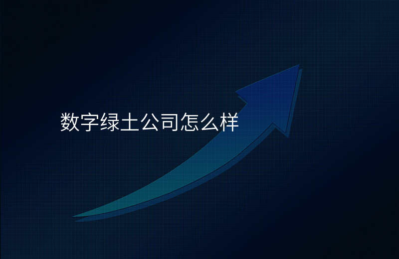 数字绿土公司怎么样