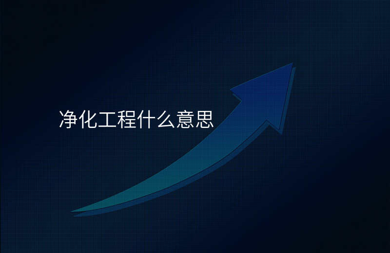 净化工程什么意思