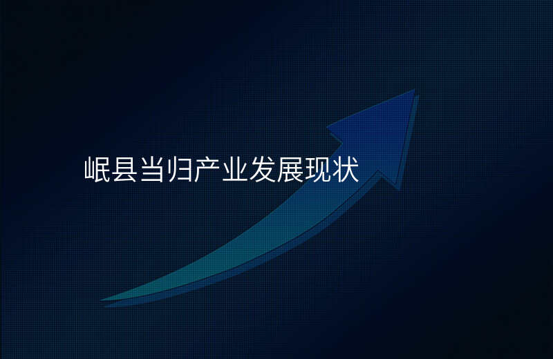 岷县当归产业发展现状