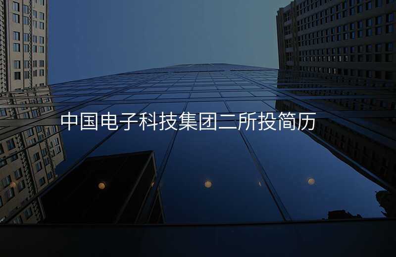 中国电子科技集团二所投简历