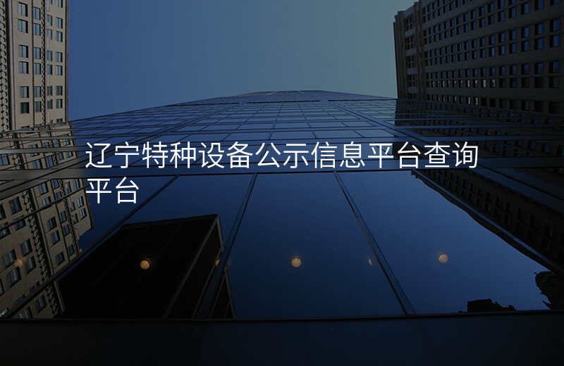 辽宁特种设备公示信息平台查询平台