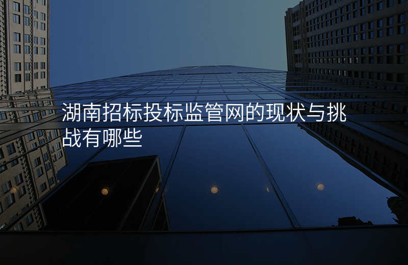 湖南招标投标监管网的现状与挑战有哪些