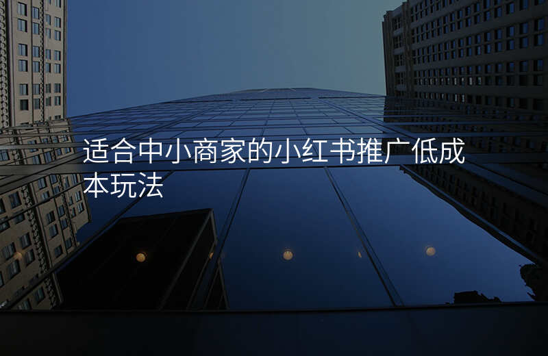 适合中小商家的小红书推广低成本玩法