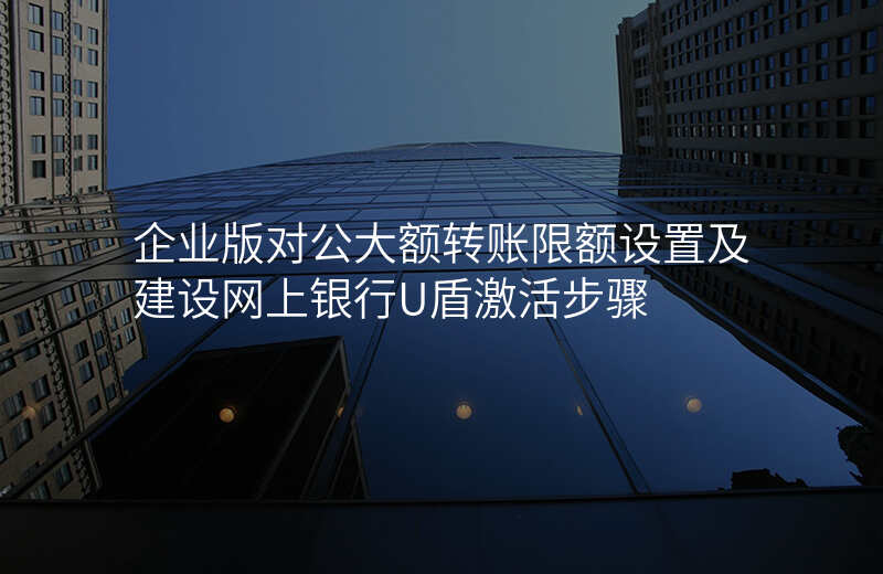 企业版对公大额转账限额设置及建设网上银行U盾激活步骤