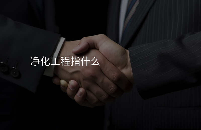 净化工程指什么