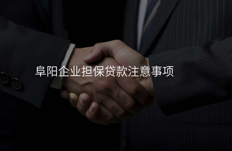 阜阳企业担保贷款注意事项