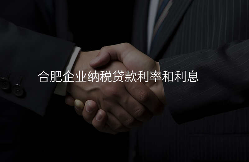 合肥企业纳税贷款利率和利息