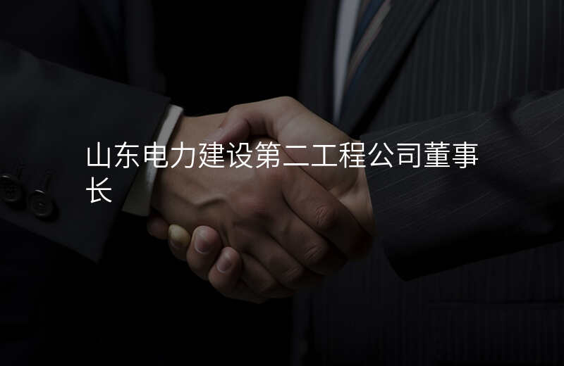 山东电力建设第二工程公司董事长