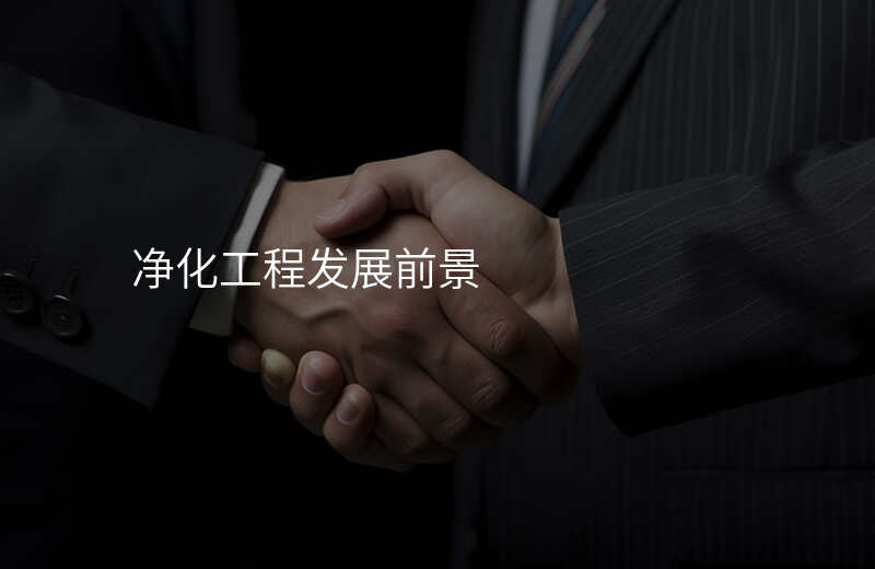 净化工程发展前景