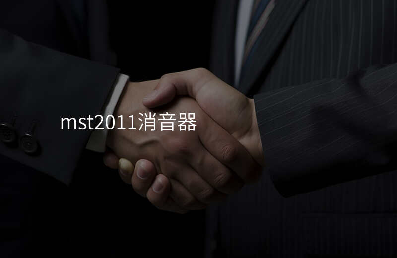 mst2011消音器