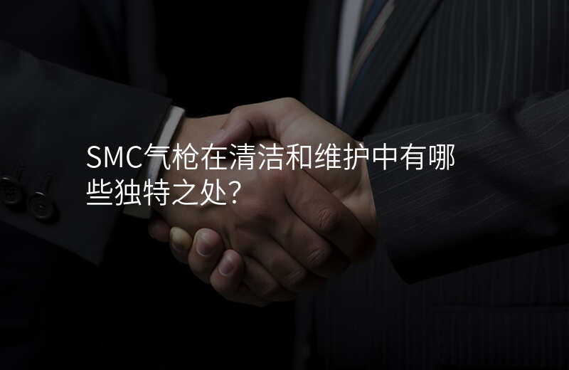 SMC气枪在清洁和维护中有哪些独特之处?