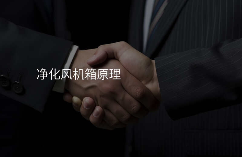 净化风机箱原理