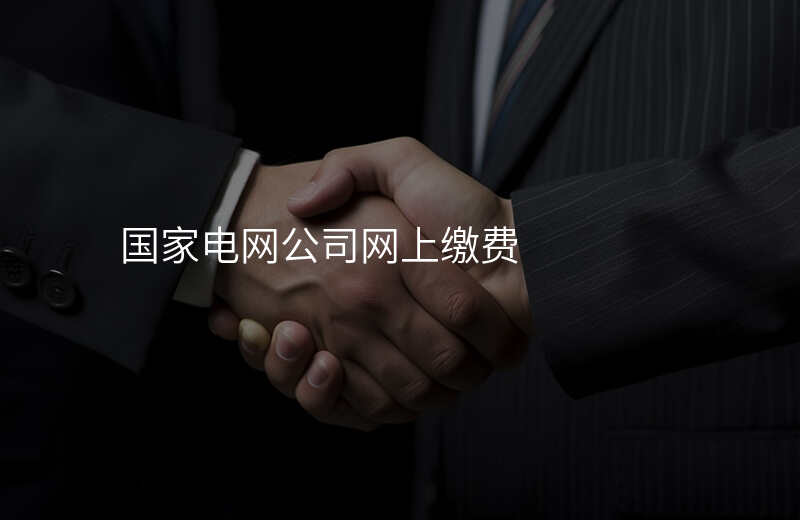 国家电网公司网上缴费