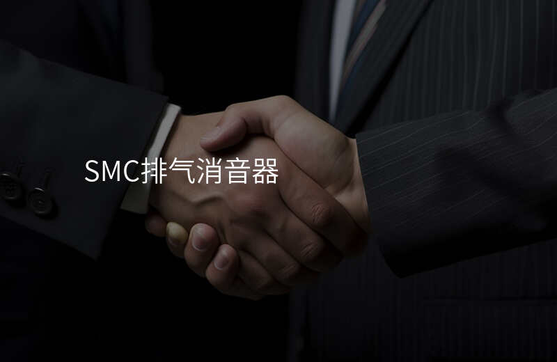 SMC排气消音器