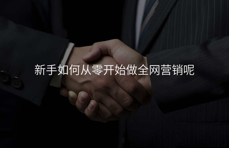 新手如何从零开始做全网营销呢