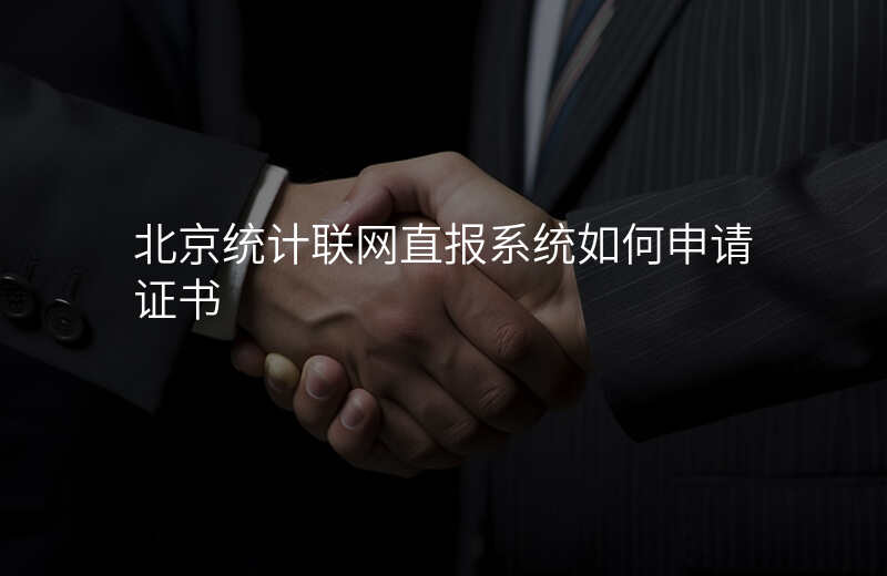 北京统计联网直报系统如何申请证书