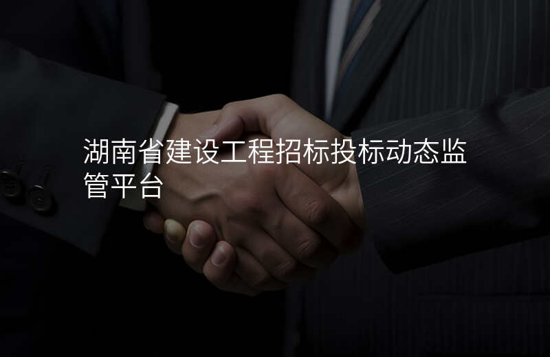 湖南省建设工程招标投标动态监管平台