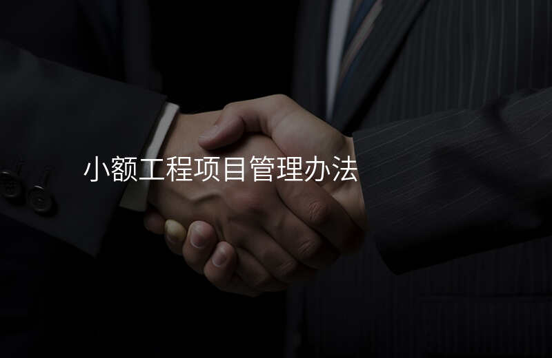 小额工程项目管理办法