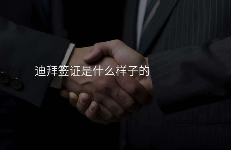 迪拜签证是什么样子的