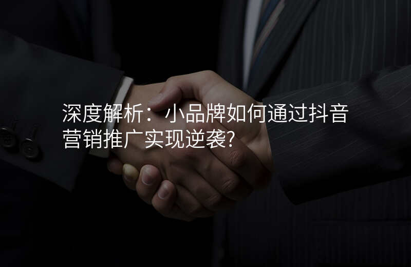 深度解析:小品牌如何通过抖音营销推广实现逆袭?